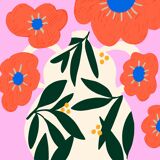 Pot poppy