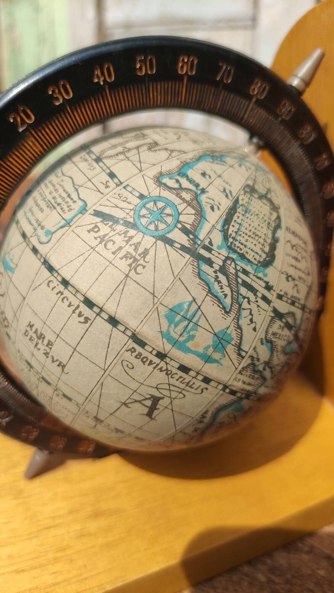 Pair of greenhouses vintage wooden books world map