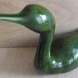Duck spinach