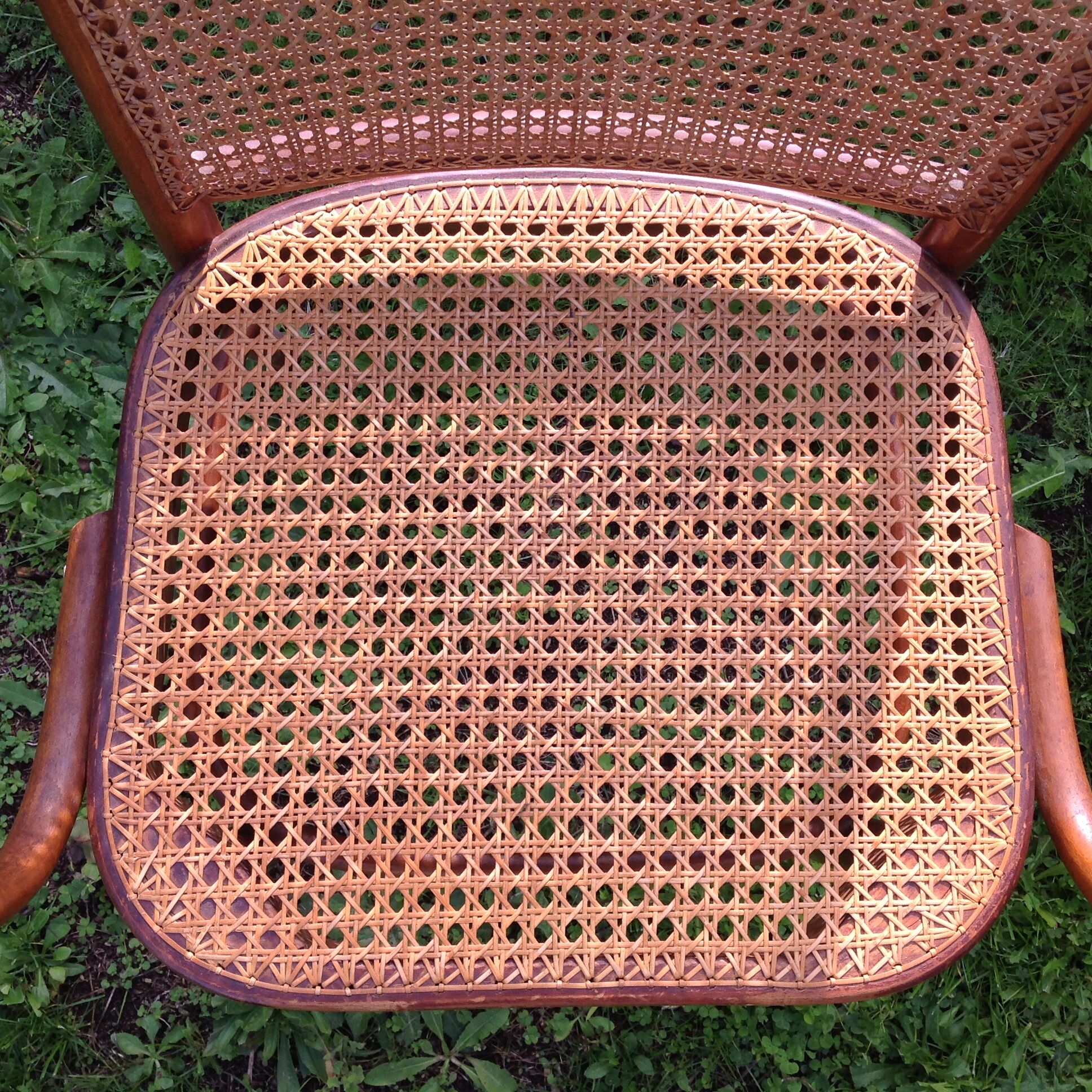 Pair of chairs 811 Thonet