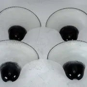 Set of four Large Labeled Barbini Murano Glass Wall Sconces. Italy 1970s