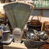 Berkel market gardener's scale