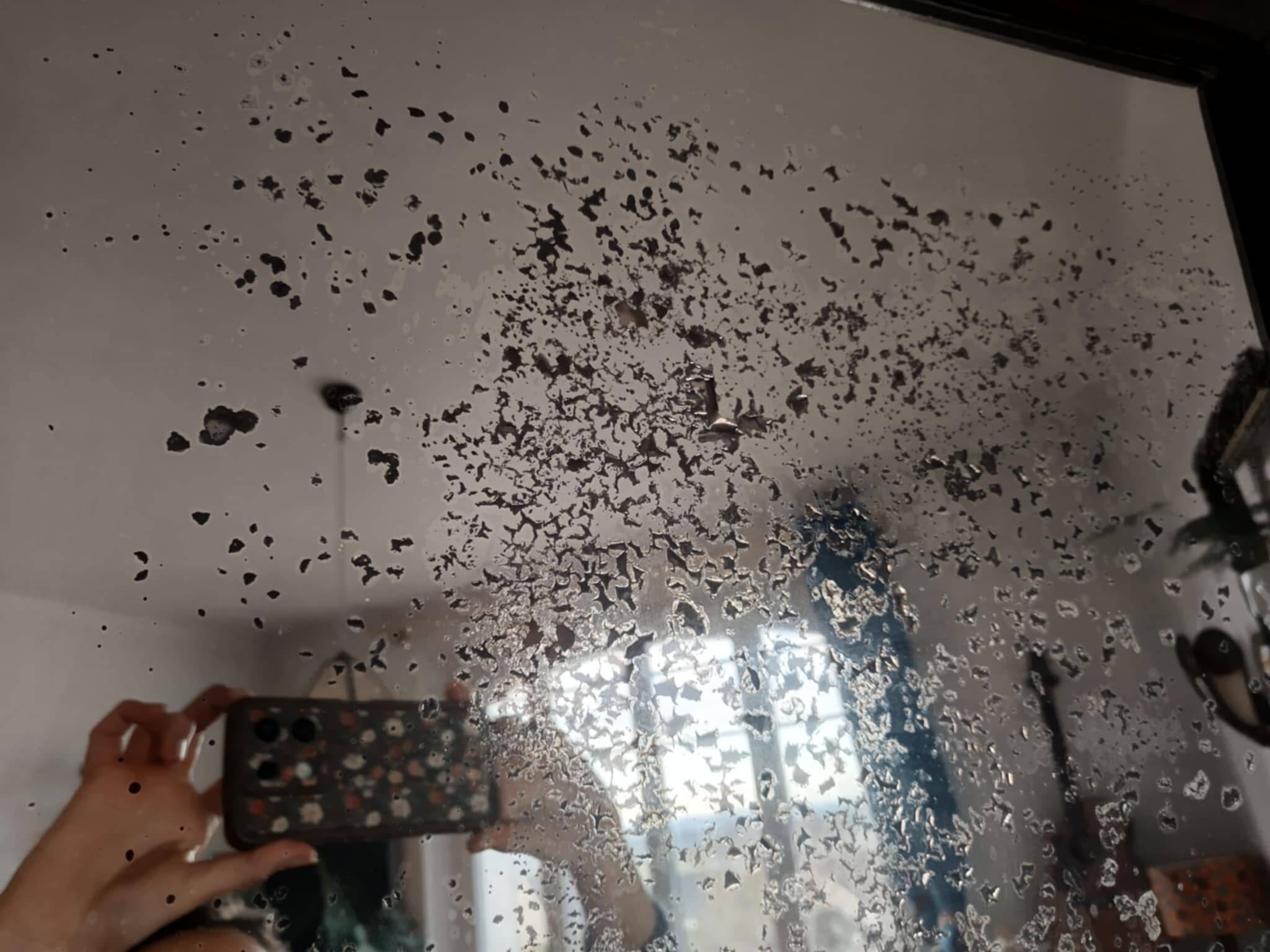 Neo-Gothic mirror in carved oak circa 1940