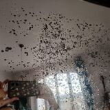 Neo-Gothic mirror in carved oak circa 1940