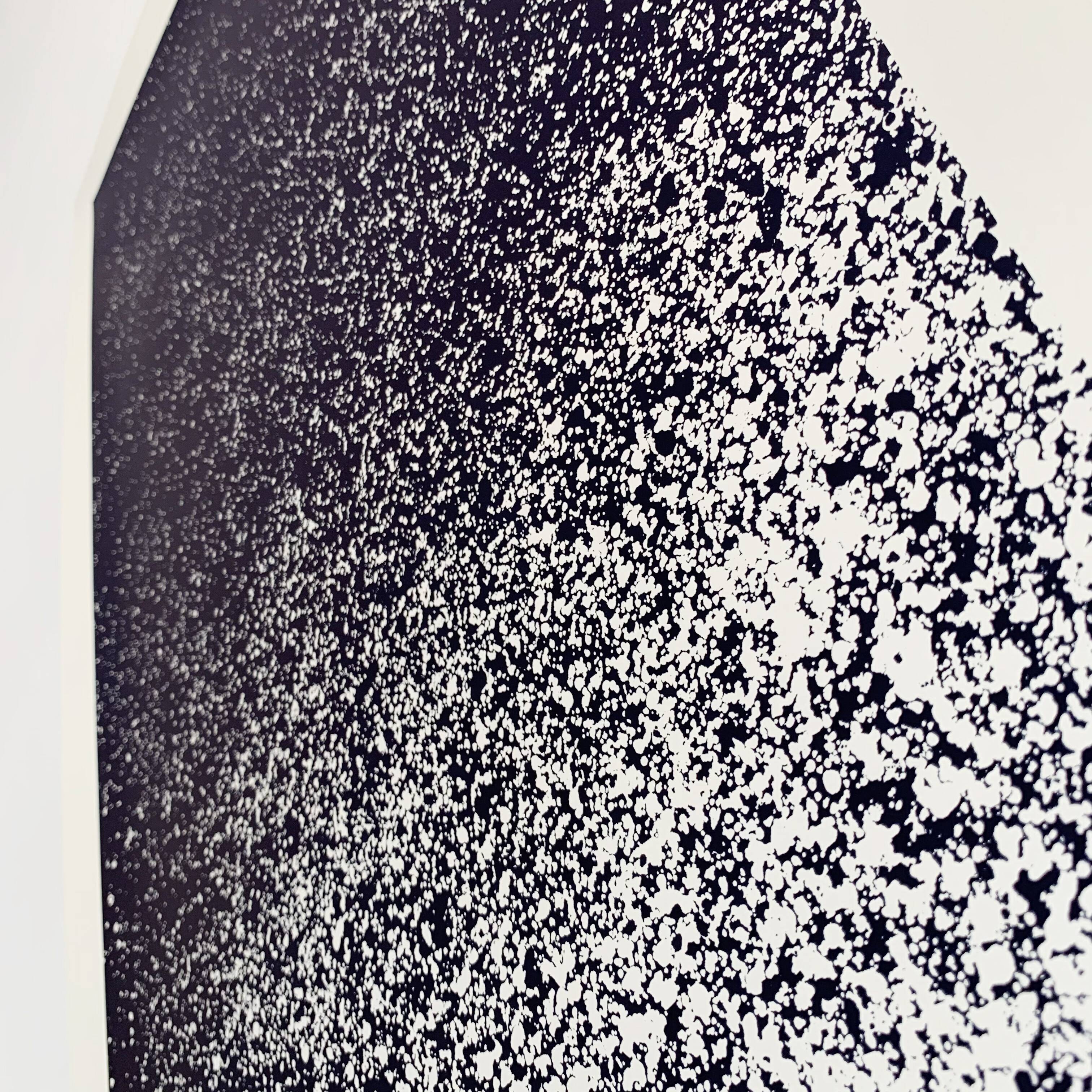 Screenprint Andromed