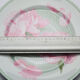 2 plates Hermès Peonies 27cm