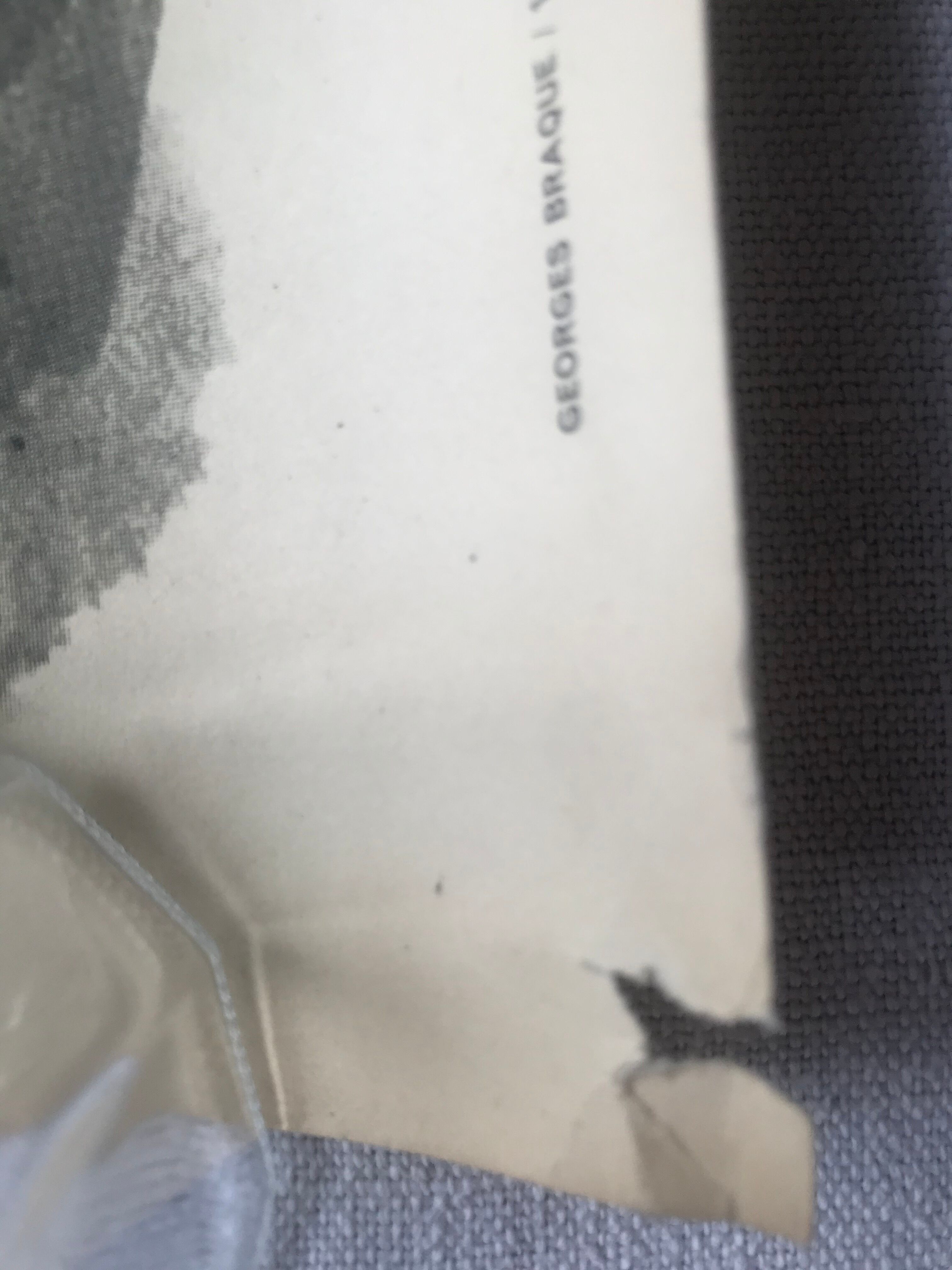 Poster Georges Braque litho offset 1956 - Three red birds -