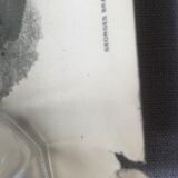 Poster Georges Braque litho offset 1956 - Three red birds -