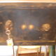 Old safe lion heads