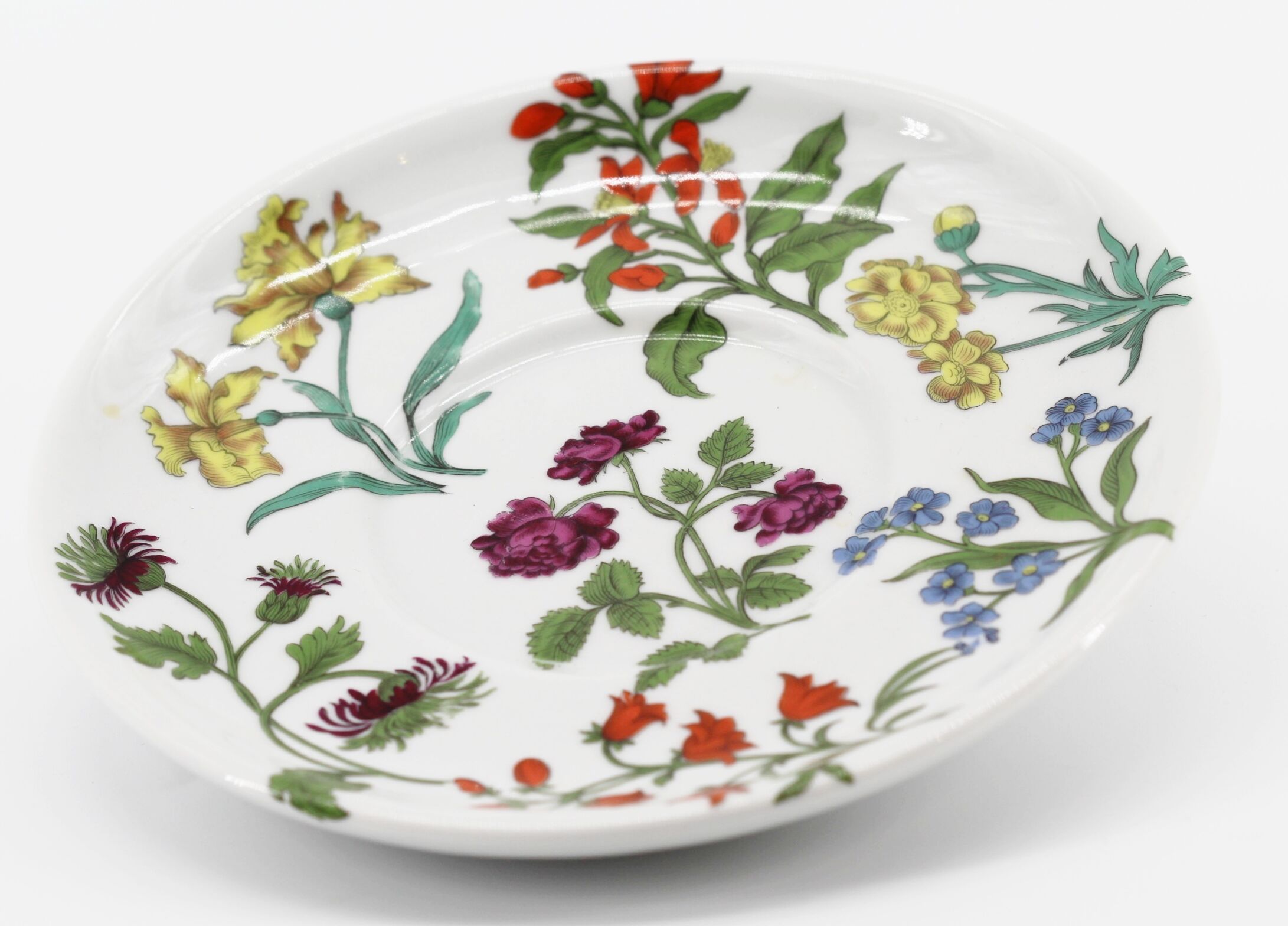 Lot of 2 plates porcelain herbarium of Paris