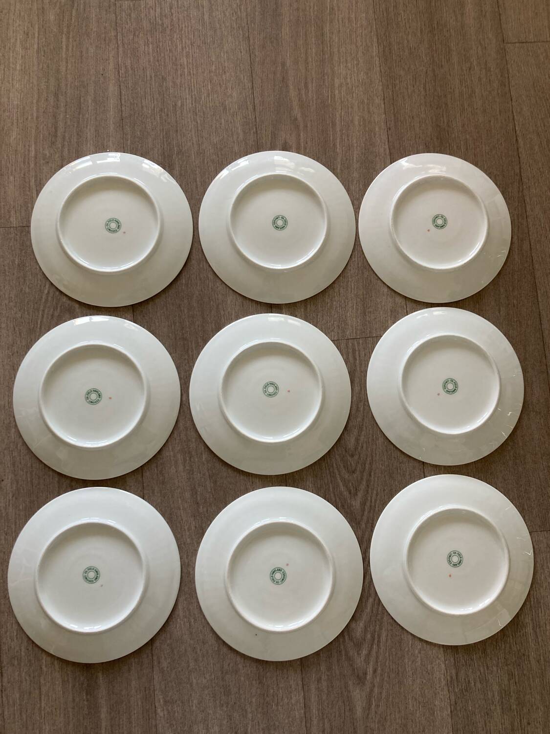 Charles Field Haviland Rosehip Dessert Plates