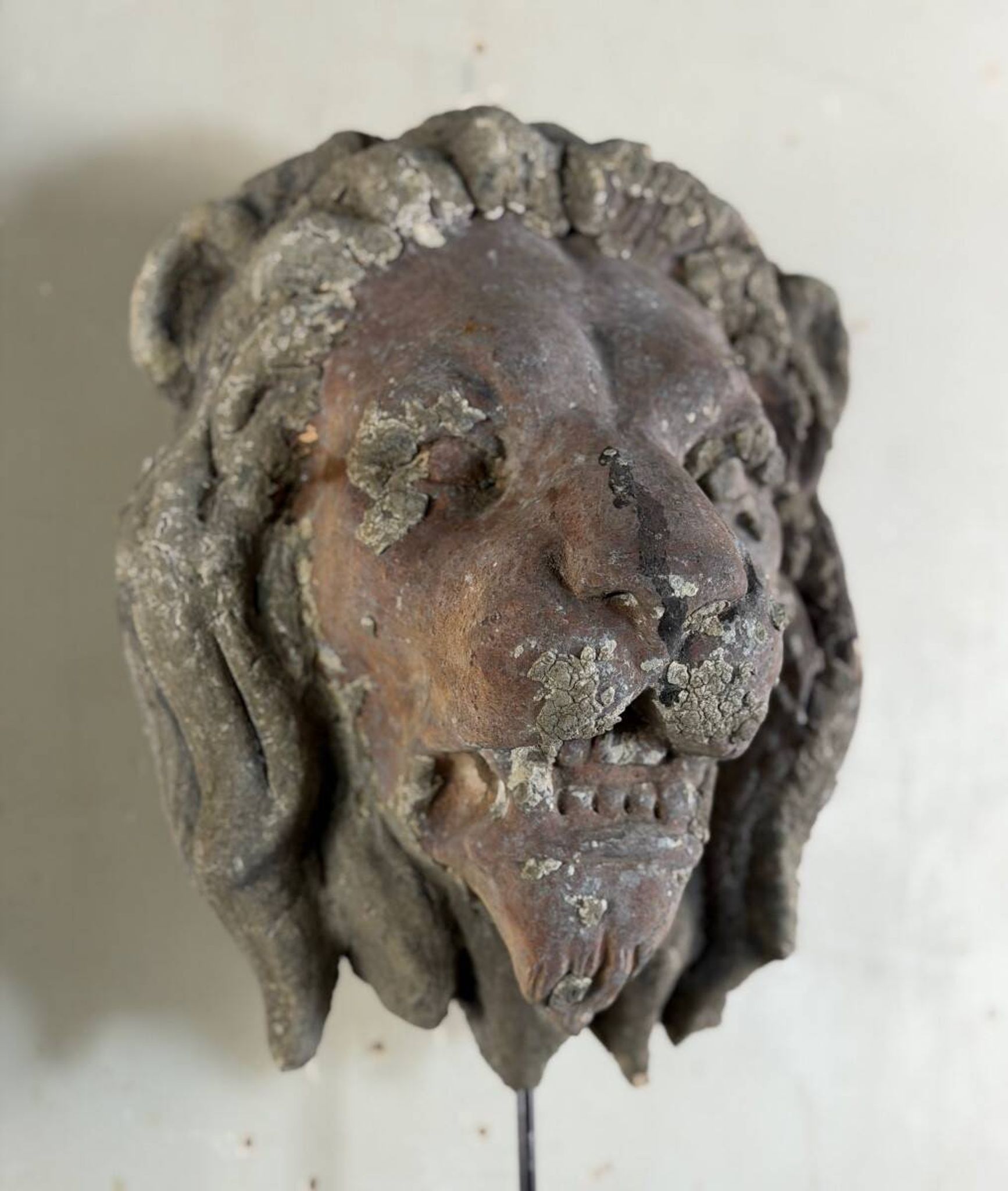Sculpture en terre cuite, cache-boulin, élément de façade XIXème siècle