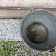 Antique zinc bucket