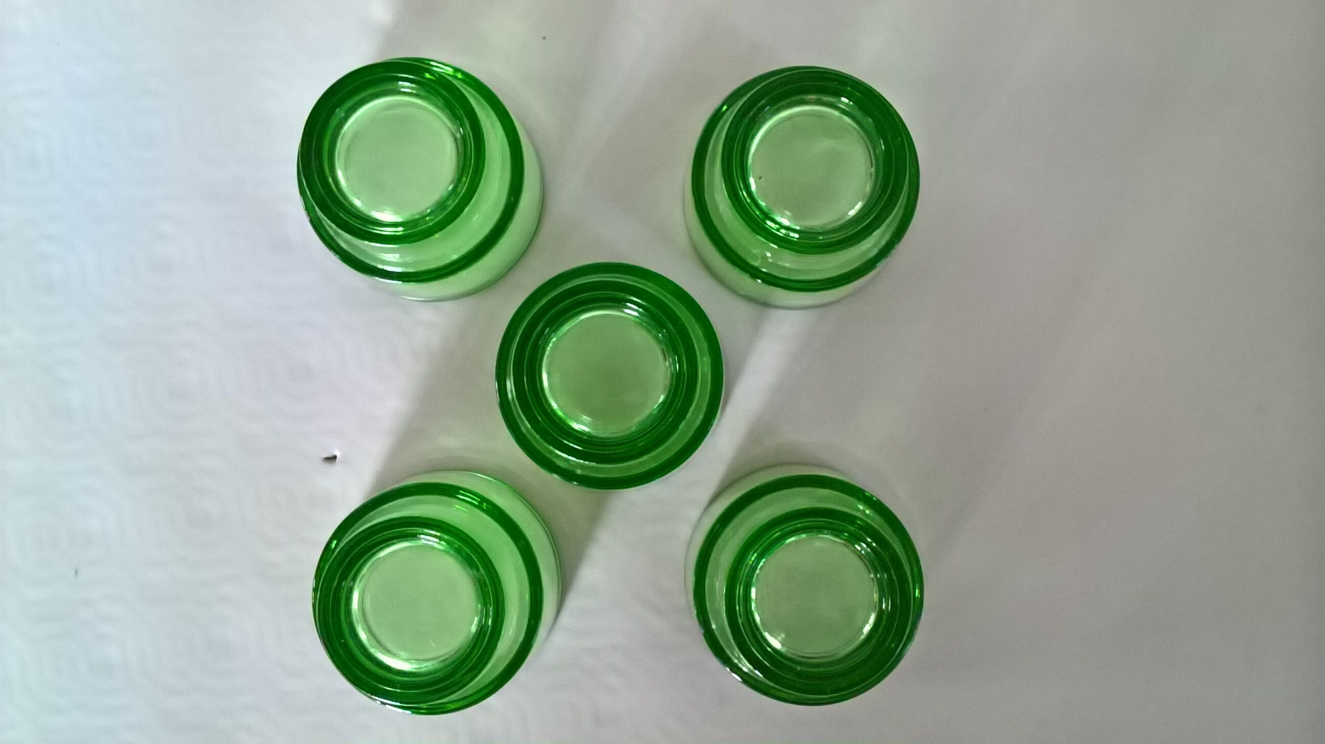 Lot of 5 cockroaches