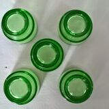 Lot of 5 cockroaches