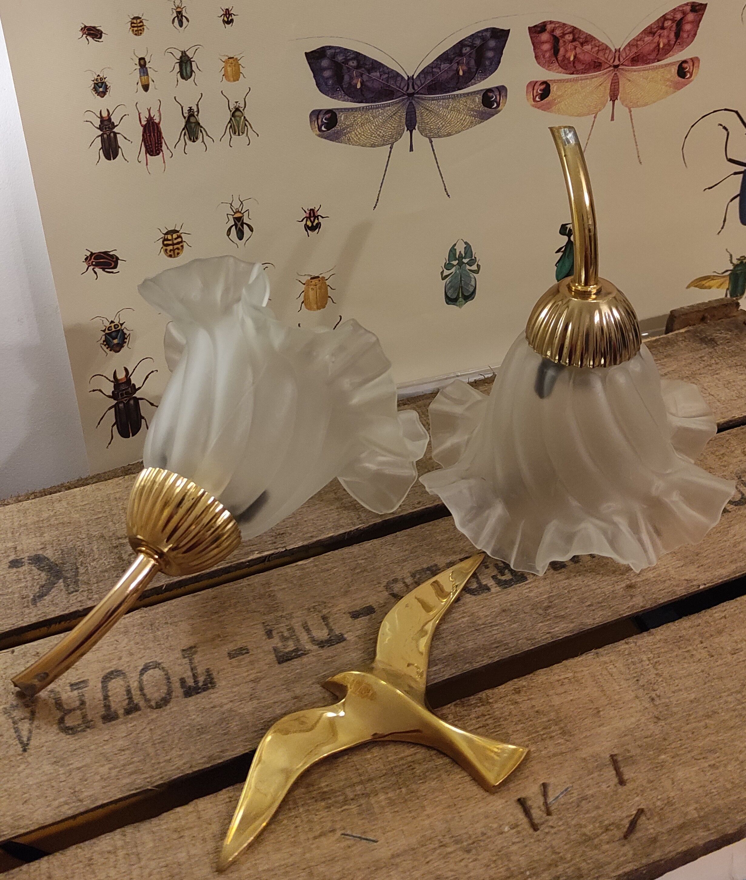 Duo of lampshade, art deco tulip globe