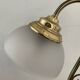 Vintage swan neck lamp in gilded metal and frosted glass