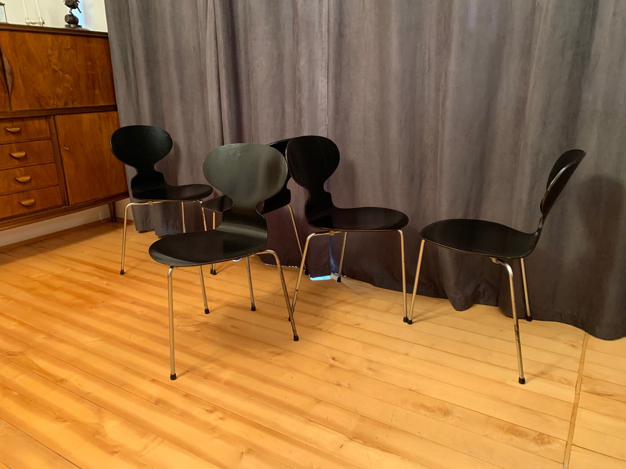 A set of five chairs Early model 3100 by Arne Jacobsen, Fritz Hansen, Denmark, 1963