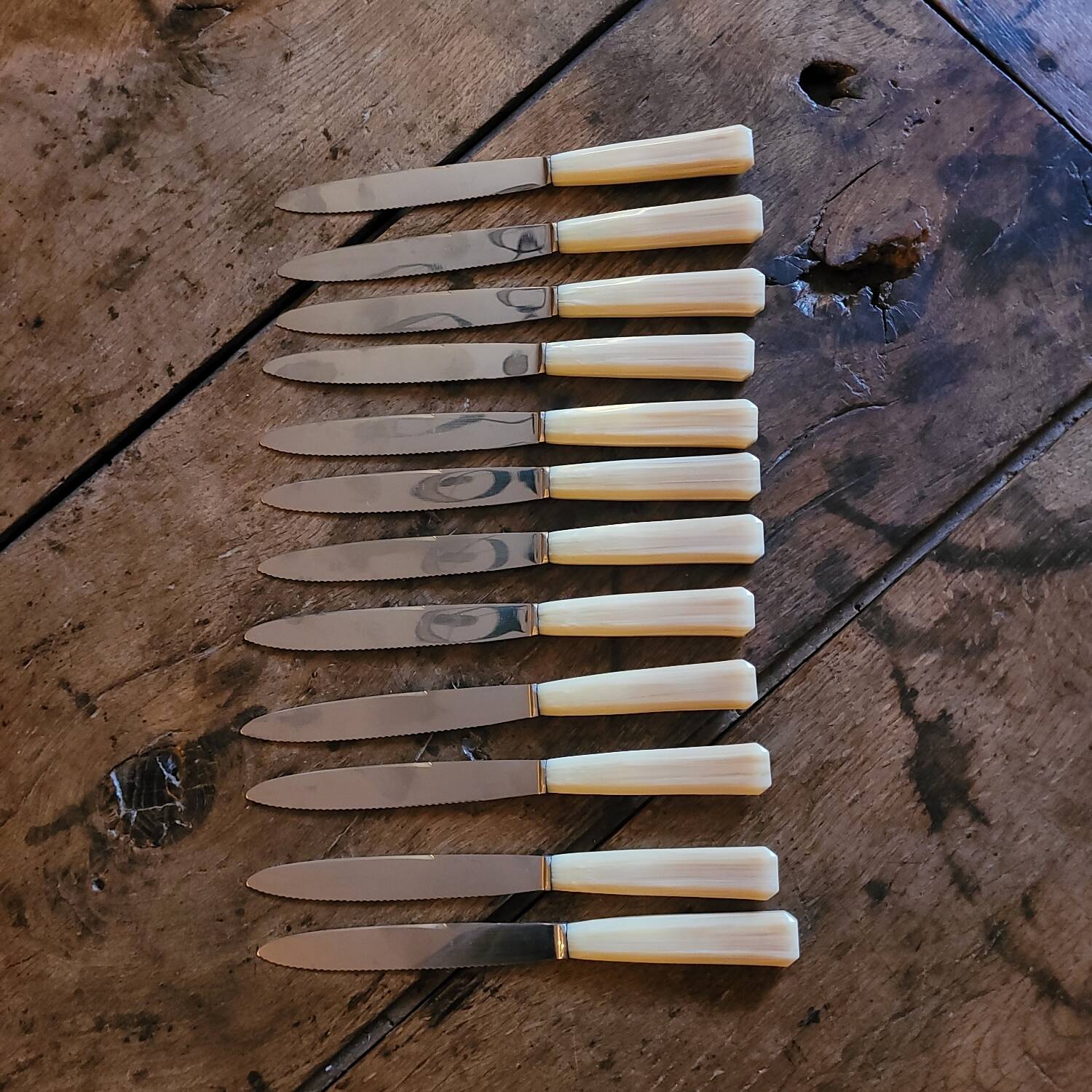 12 Rameau Sens stainless steel knives – France – 1950s/1970s