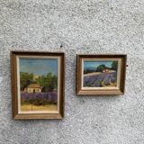 Paintings, oil on canvas "Lavender"