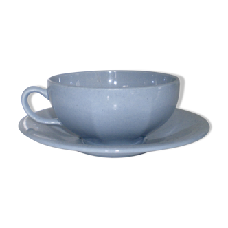 Cup and saucer earthenware salins