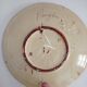 Dish decorated with fish Puigdemont 1960