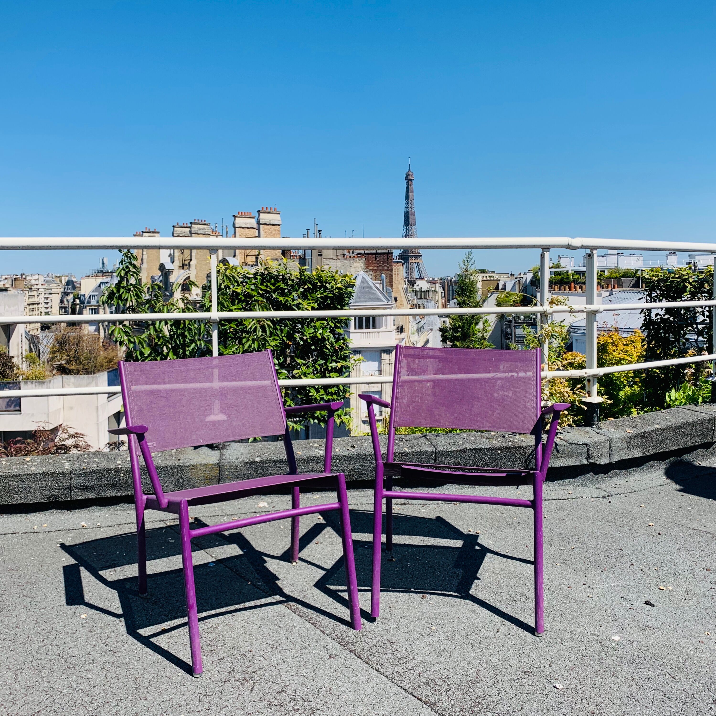 Red Cedar Purple Outdoor Chair