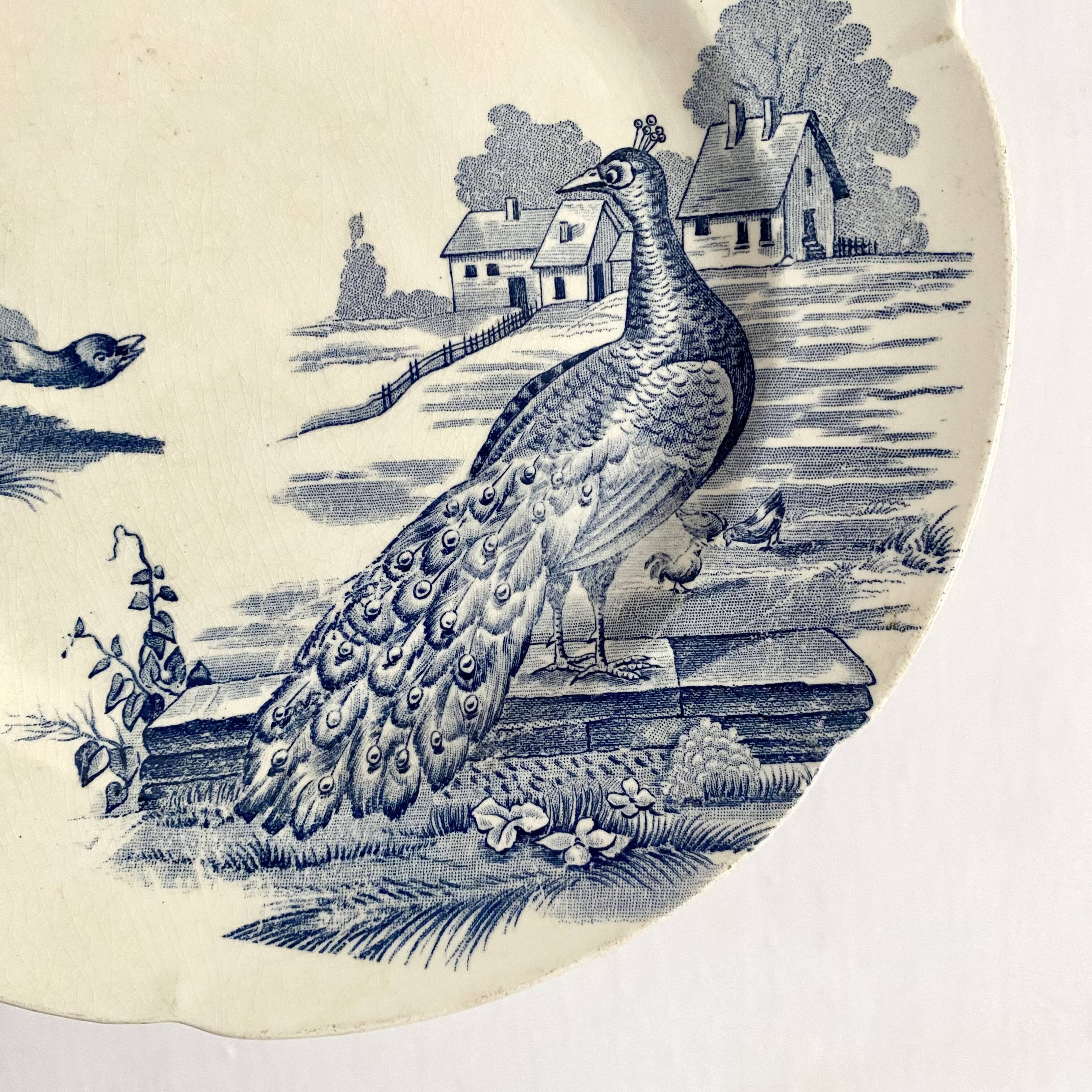 Assiette terre de fer "Rustic" paon
