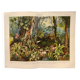 Gravure botanique de 1909 - Forêt et jungle tropicale - Planche ancienne allemande