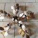 Wall light Flowers, 50's