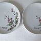Fine porcelain dessert plates from Bavaria -botaniqu