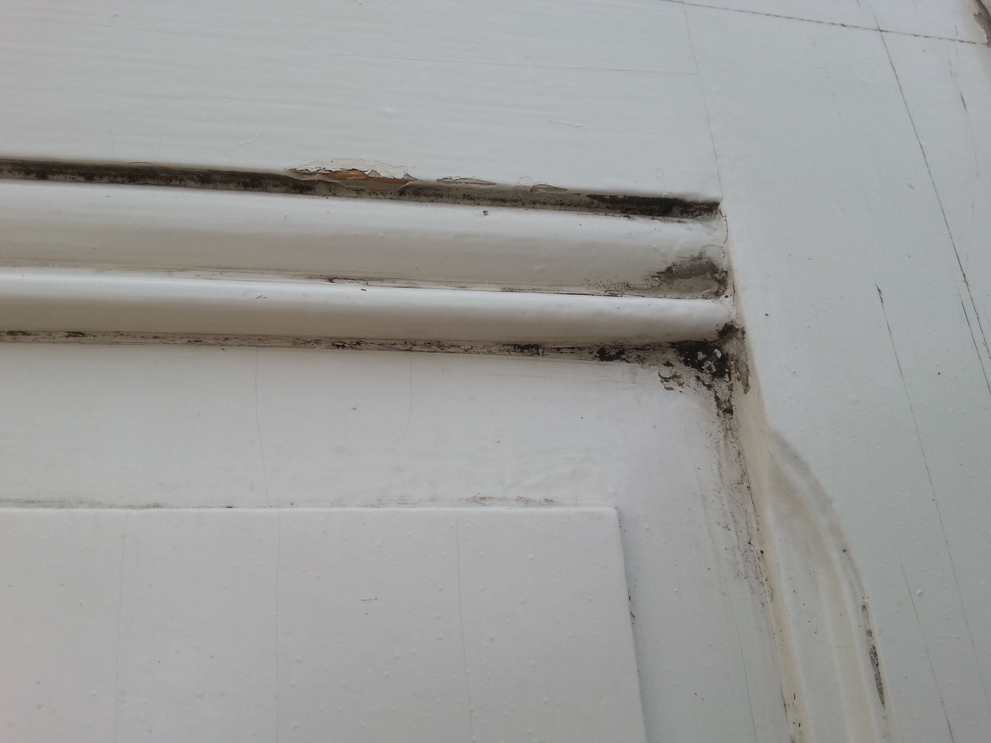 Pair of old beautiful white patina separation doors