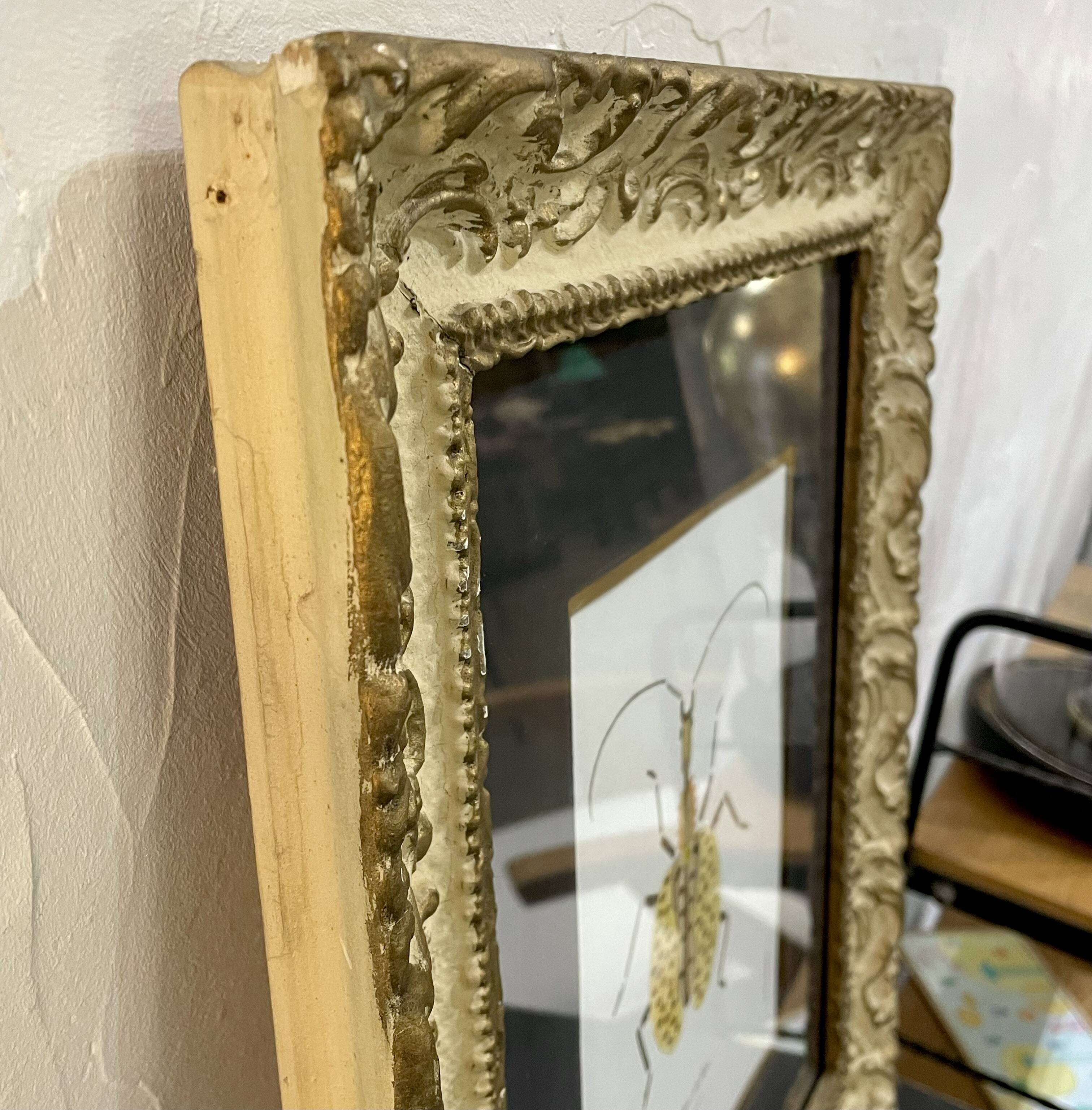 Insect frame