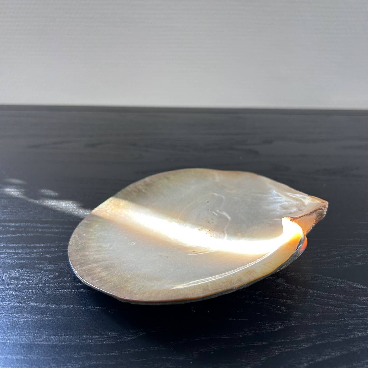 Mother-of-pearl shell emptier