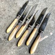 6 La Trompette knives in beige and stainless steel horn