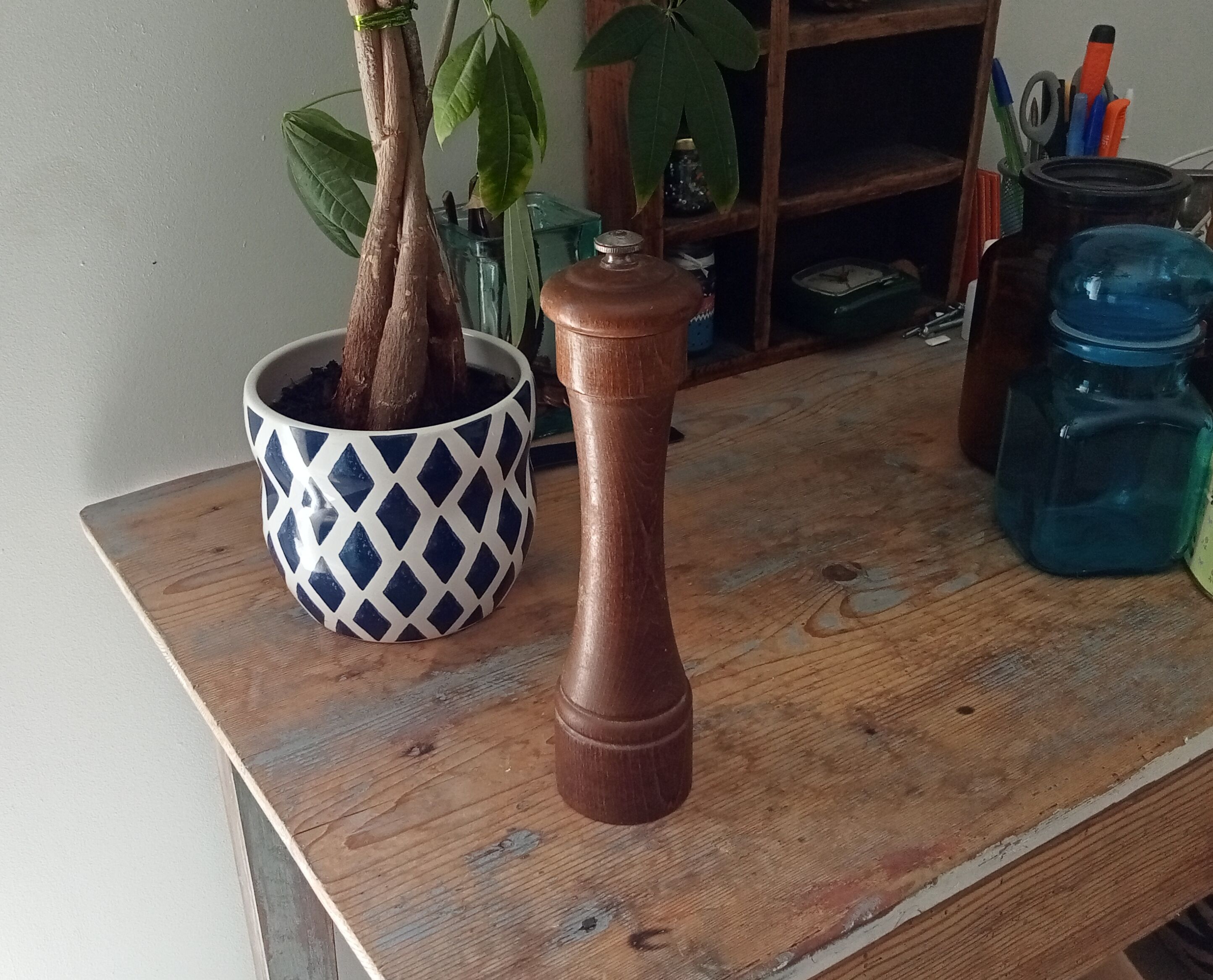 Pepper tree former brothers Peugeot Lion