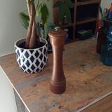 Pepper tree former brothers Peugeot Lion