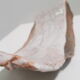 Raku ceramic cup by Annie Caputo