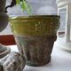 Pot / plante ou fleur en terre cuite