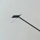 Tizio desk lamp by Richard Sapper for Artemide Italy 70s