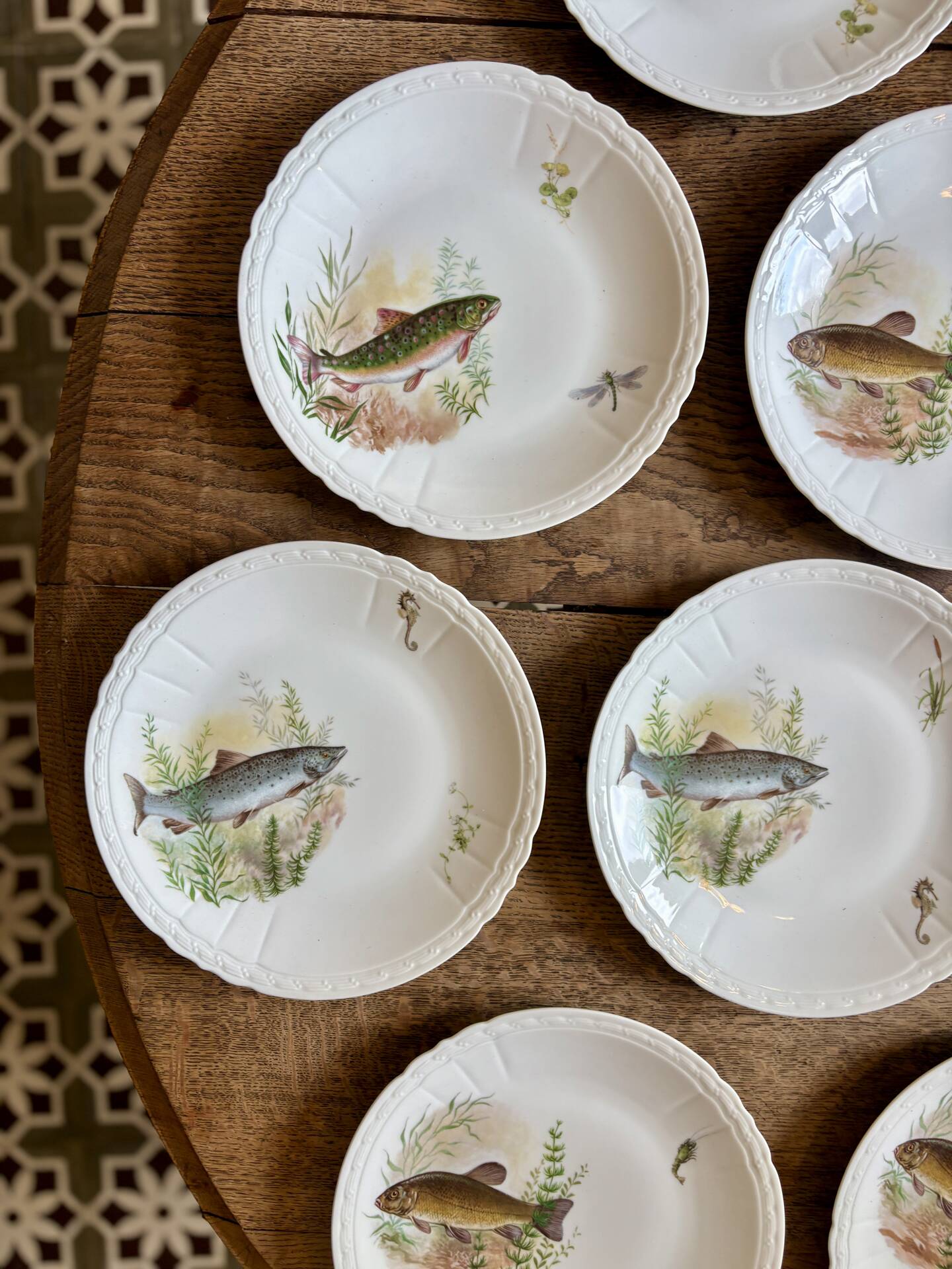 Set of 10 antique flat plates in porcelain, decorated with fish.