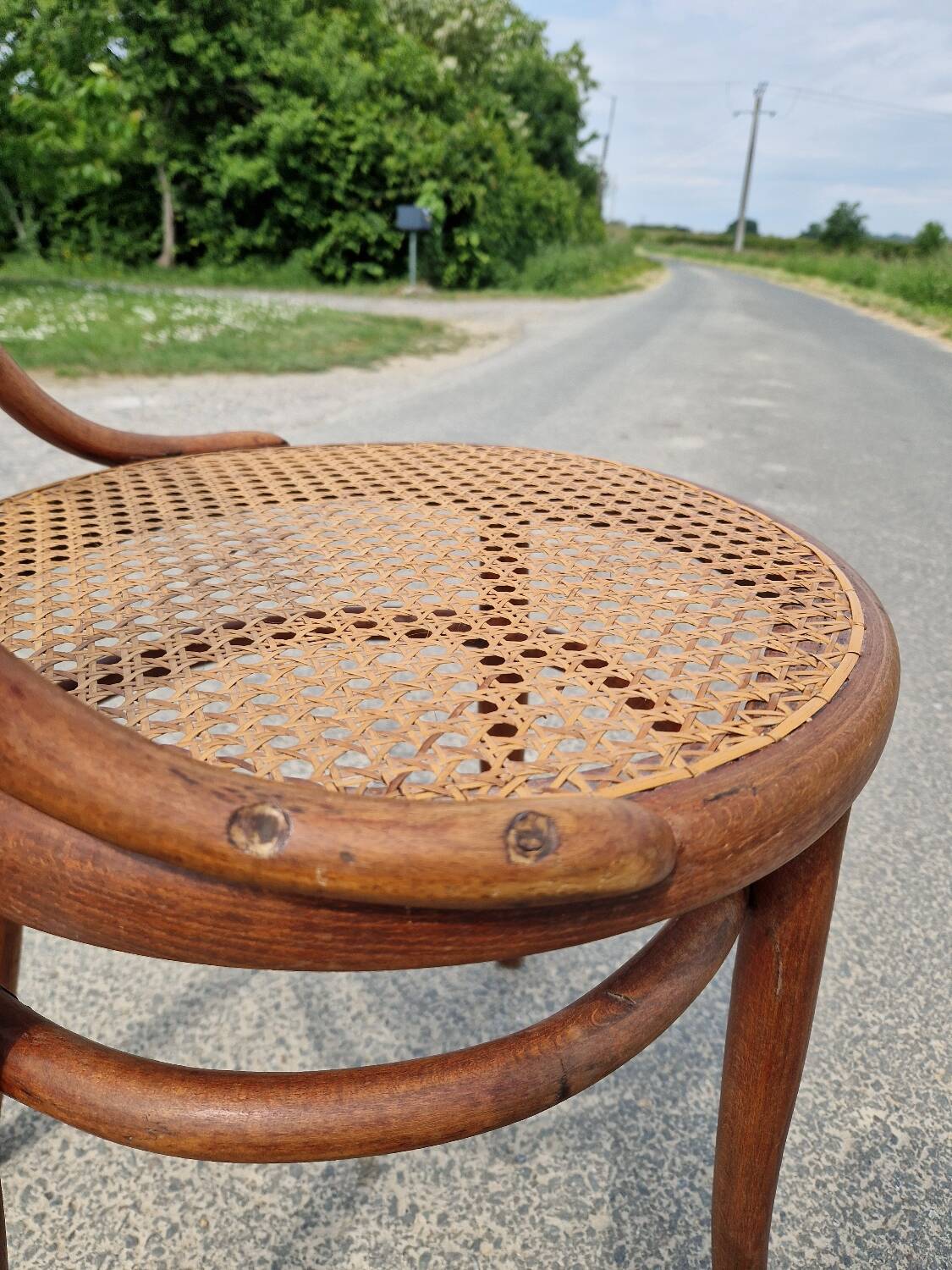 Curved wooden chair n31 from Thonet 1900