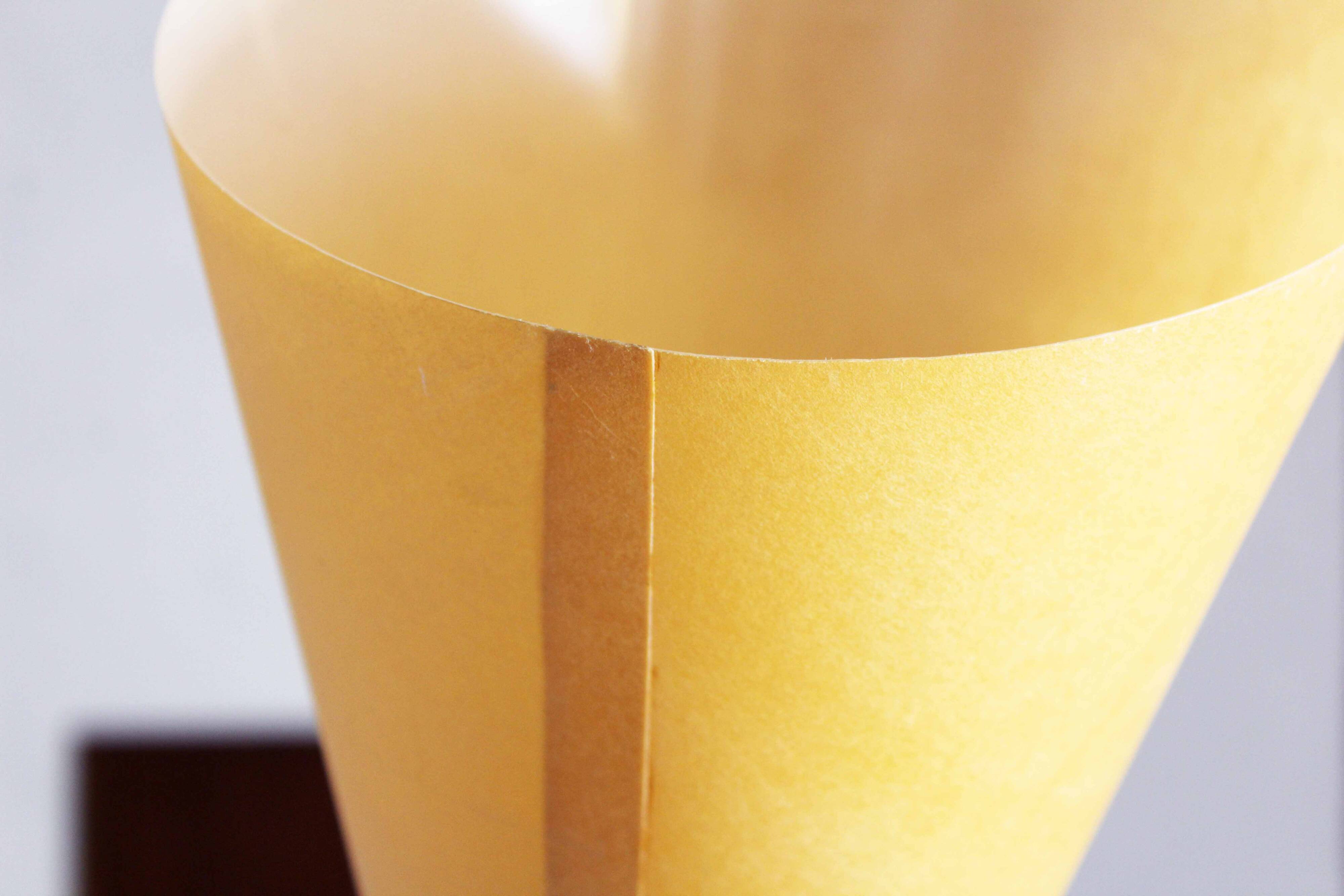 Modernist carbon floor lamp