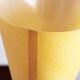 Modernist carbon floor lamp