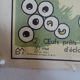 School poster on both sides anatomy batracians and birds . MDI.1964