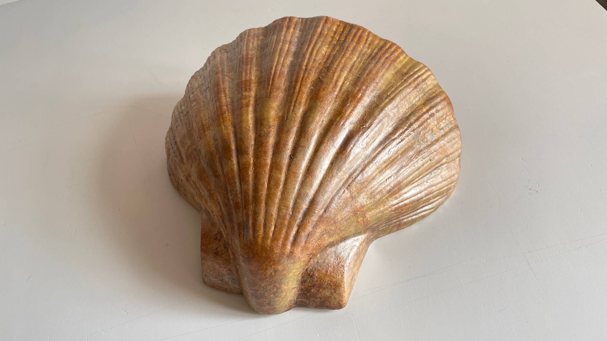 Shell wall enameled by aljezur