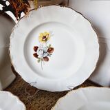 6 Assiettes Creuses Porcelaine Française Sarreguemines Fleurs Marron