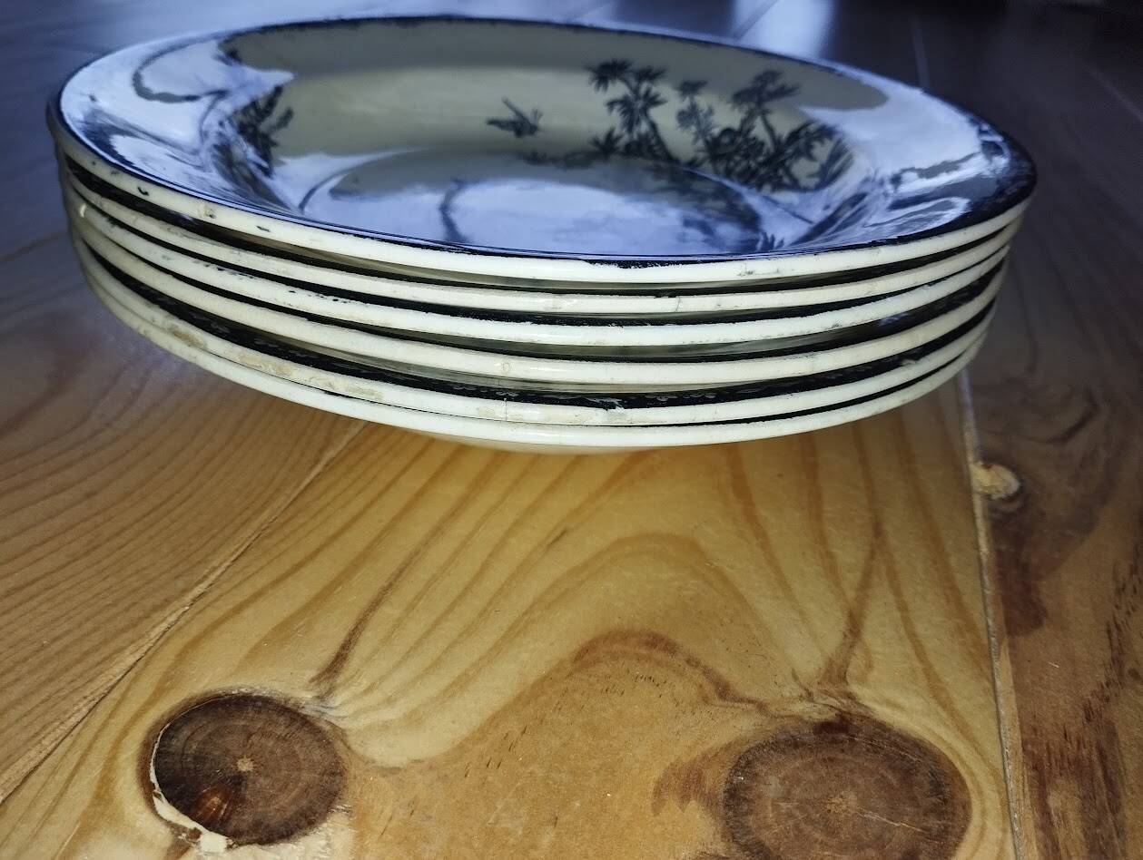 Deep Plates "Terre de Fer – The Chicks" (6 pieces)