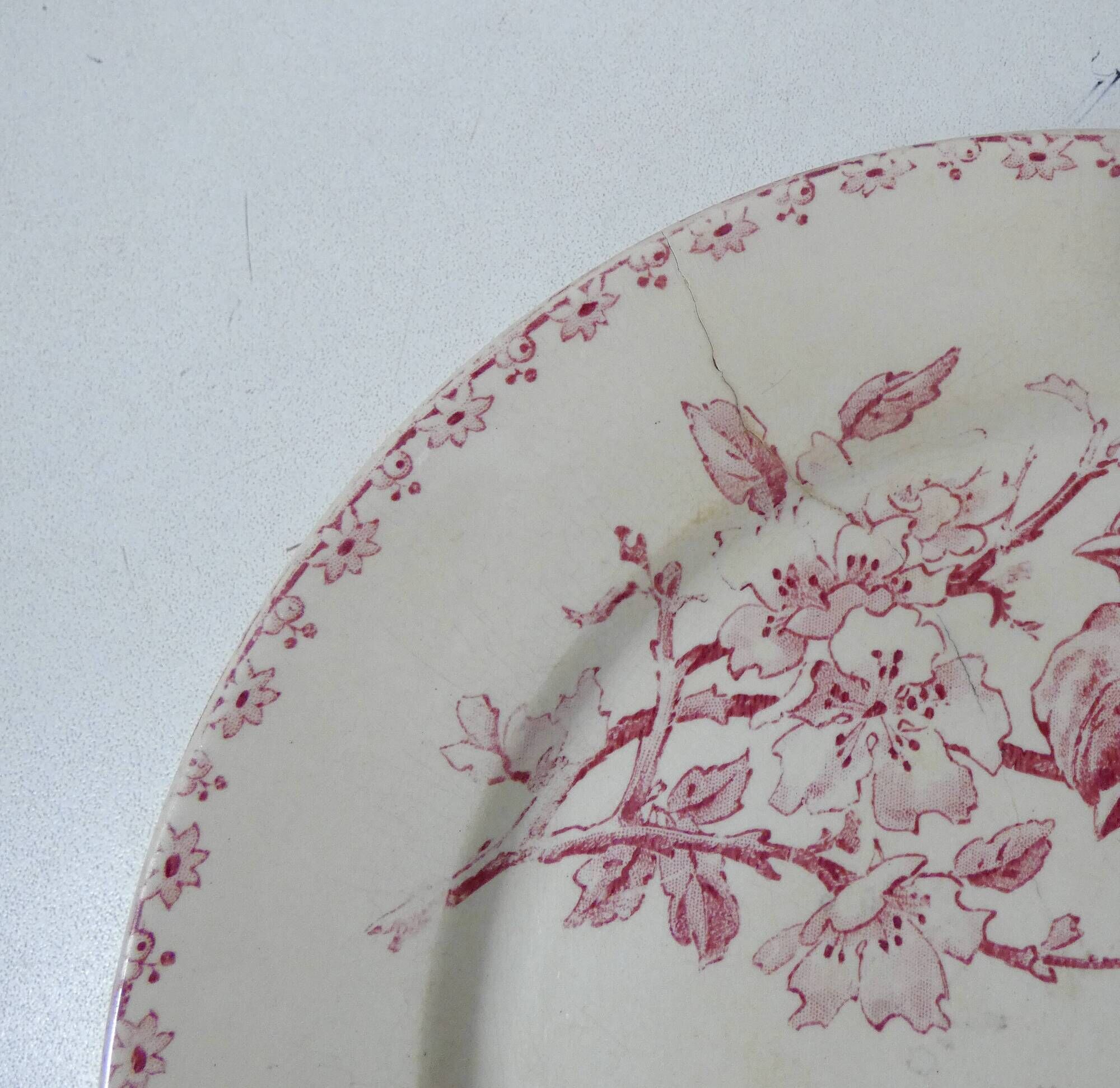 Terre de fer Digoin Sarreguemines 6 flat plates FAVORI birds model