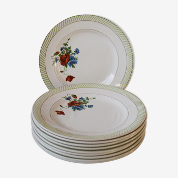 Lot of 10 flat plates Prairie de Salins France